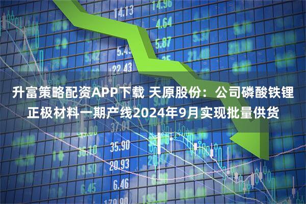 升富策略配资APP下载 天原股份：公司磷酸铁锂正极材料一期产线2024年9月实现批量供货