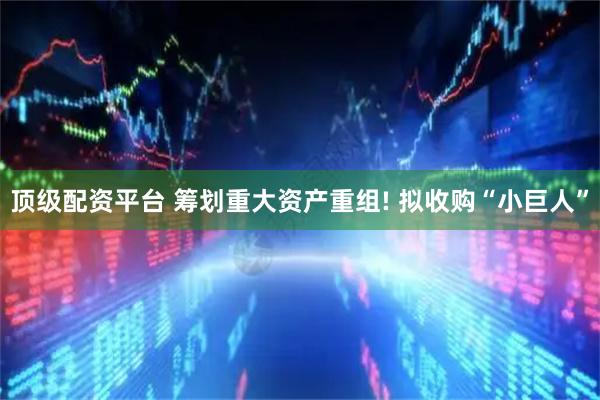 顶级配资平台 筹划重大资产重组! 拟收购“小巨人”