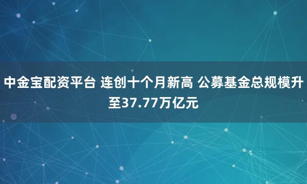 中金宝配资平台 连创十个月新高 公募基金总规模升至37.77万亿元